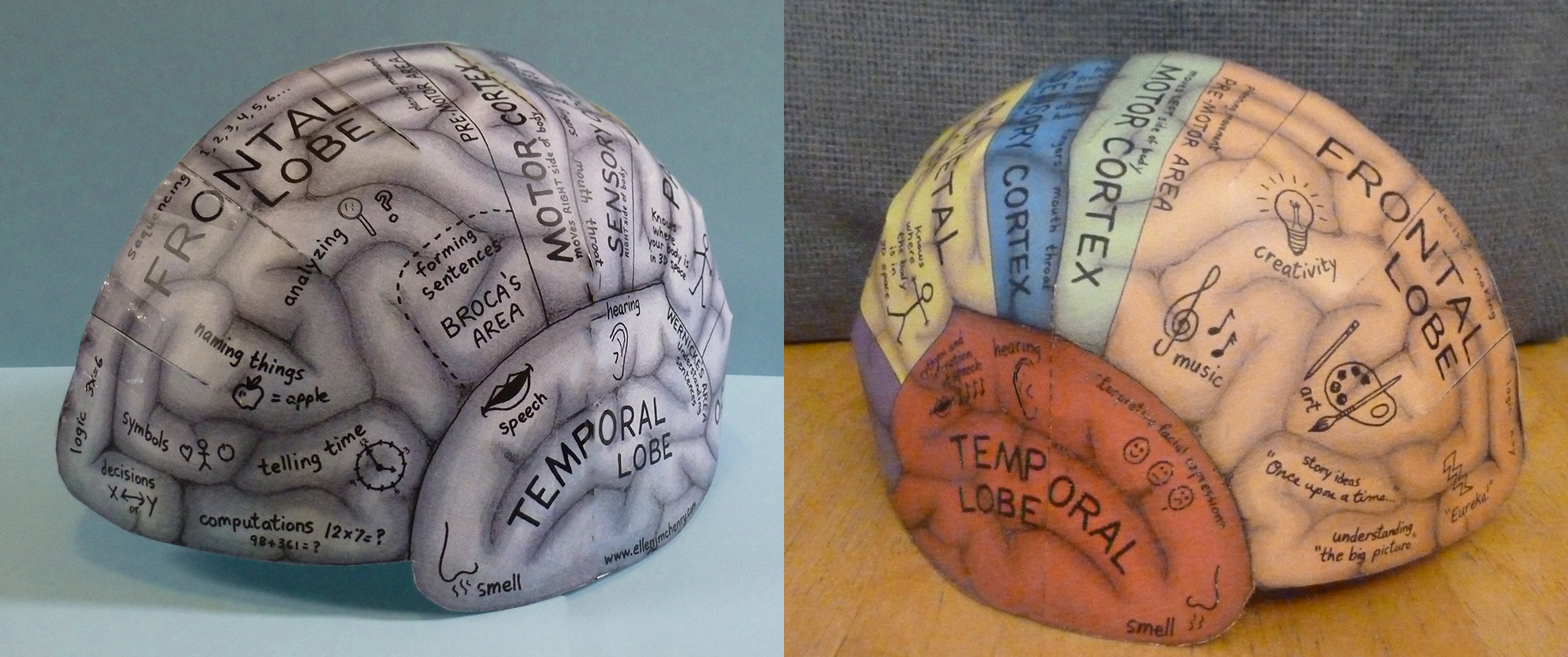 Brain Hemisphere Hat – Ellen McHenry's Basement Workshop