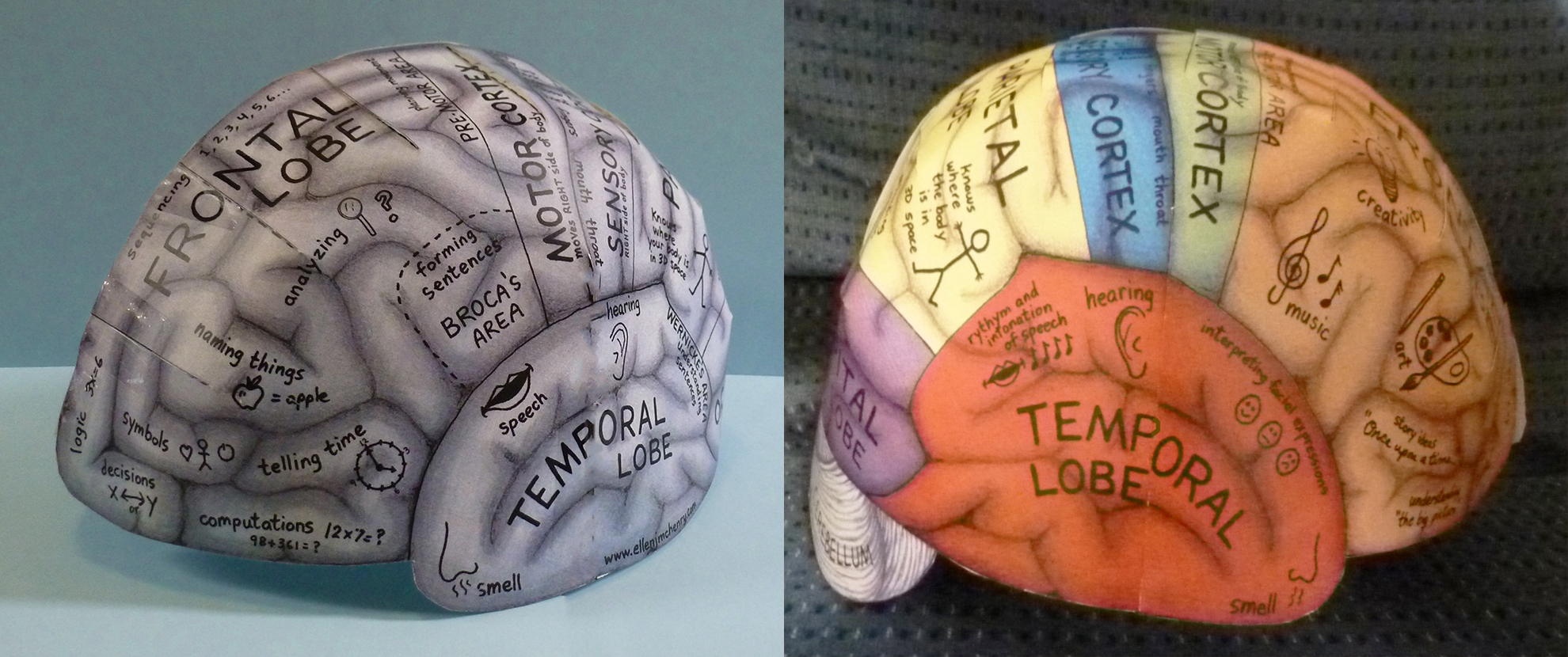 Brain Hemisphere Hat – Ellen McHenry's Basement Workshop
