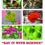 Science Valentines pic for Dollar Shop