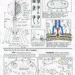 Virology lesson 4a final sample632